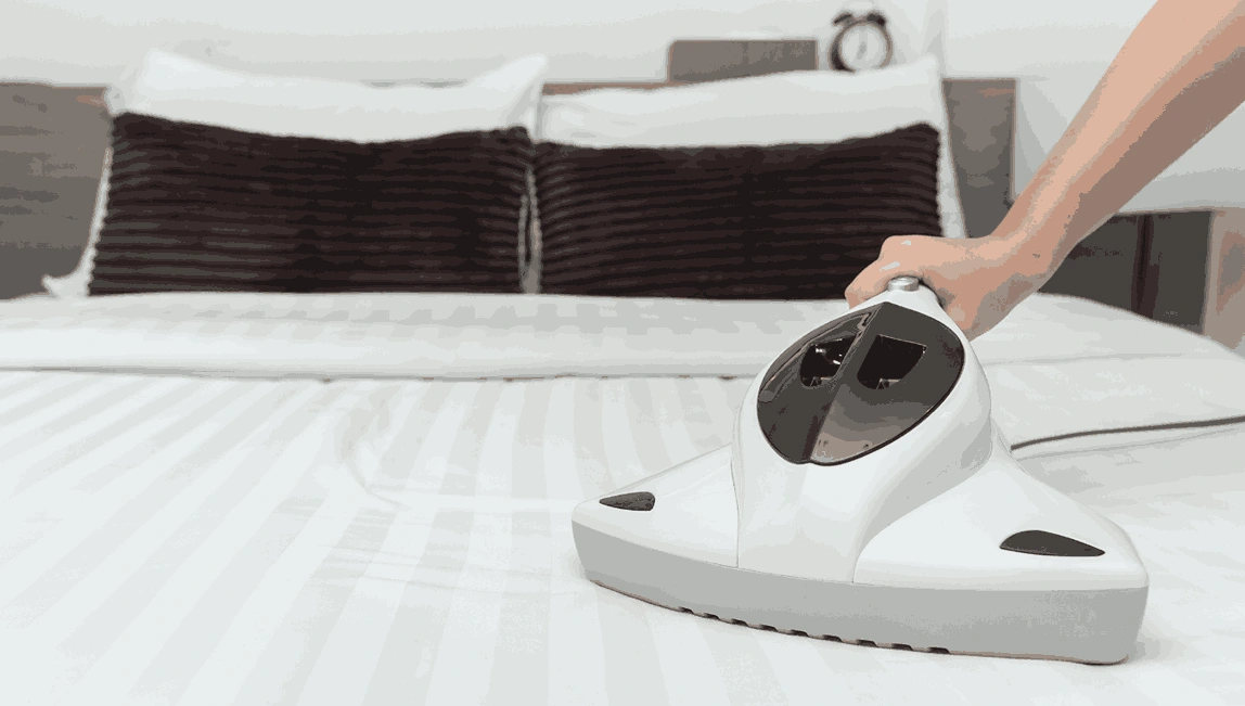 Professional Mattress Cleaning Kew